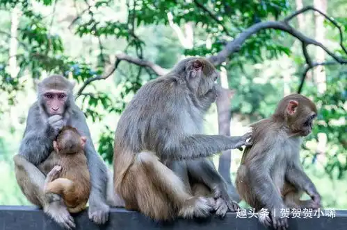 贵州旅游一定要去的景区被誉为黔南第一山,门票只要五块钱
