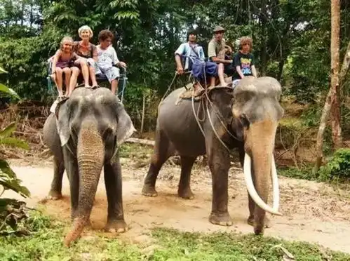形上生活说走就走的旅行,说没就没的生命
