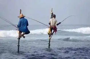 辽宁今天开始休渔四个月网友还没甩开膀子吃海鲜,就没了
