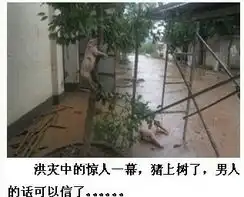 今天教大家认识一个字
