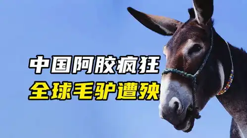 全世界的驴,都快被中国人搞没了
