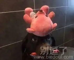 奇葩图笑话搞笑奇葩图精选爆笑奇葩图大全别逗了
