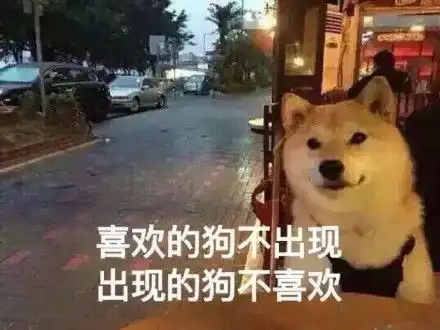 2020.11.11光棍节唱给单身汪主题演唱会有音乐的地方不孤单
