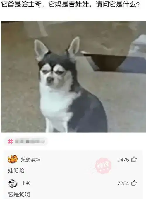 如果我把这把剑取走了,桥会不会有事哈哈哈神评亮了
