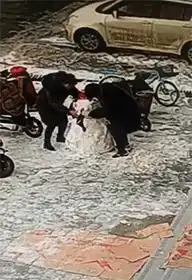 爆笑gif趣图大白天的跑我这偷人头来了
