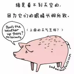 这些有趣的冷知识,赶快和孩子一起get起来
