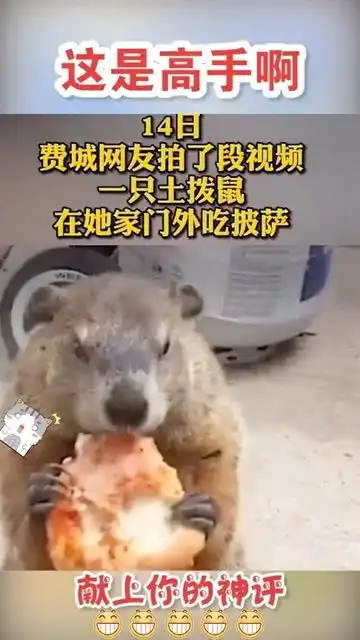 馋死狗子啦搞笑我要上推荐
