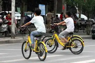 ofo共享单车可以骑回家放着吗
