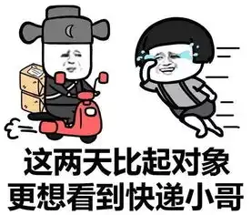 加拿大警察要开始送餐了,还有什么业务是他们不能开展的

