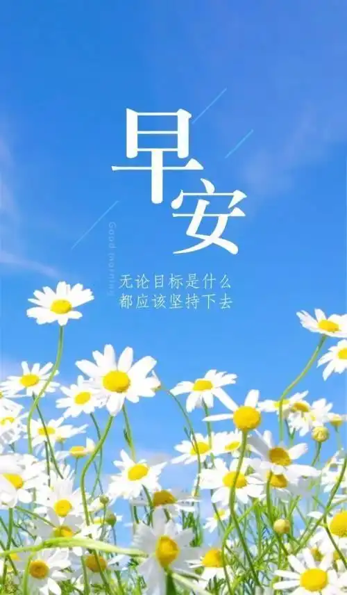 积极阳光的早安心语,精致美好,元气满满
