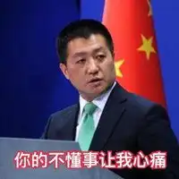 外交部发言人表情包微信头像图片大全
