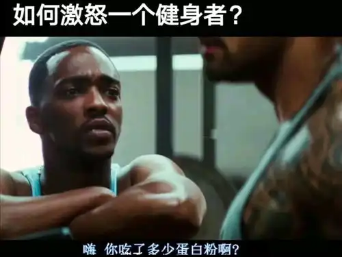 沙雕图片还没来得及去沾花惹草,就被人拔光了腾讯新闻
