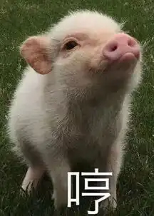 长隆野生动物世界妖猫传居然是真的,..沉默
