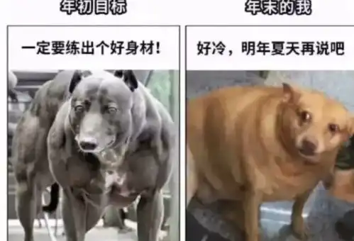 搞笑图片不开心的时候看看吧
