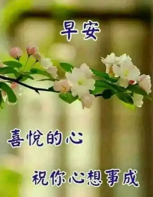 人生苦短,没有彩排人生在世,短暂不过百年早安好心情美梦网易订阅
