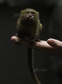 每天不可错过的10张图
