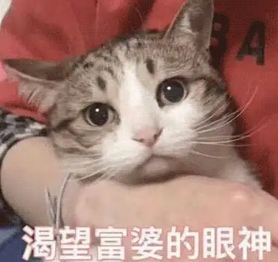 双11过后的广告人四大皆空六根清净
