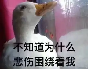泸州话幽默起来,本地人都怕成都
