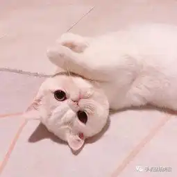好看的qq个性头像,男生女生头像
