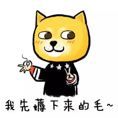 安利几款剁手神器,还能变相赚钱
