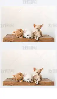 小窝框图片素材小窝框图片素材下载小窝框背景素材小窝框模板下载我图网

