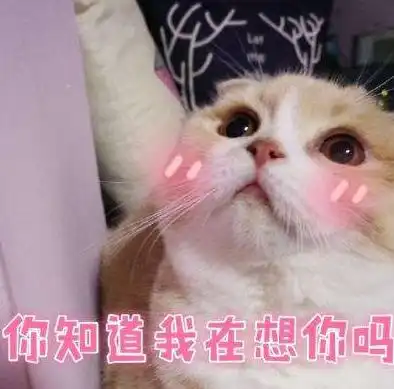 幽默笑话,嫂子,我没骗你吧,他准来卷子
