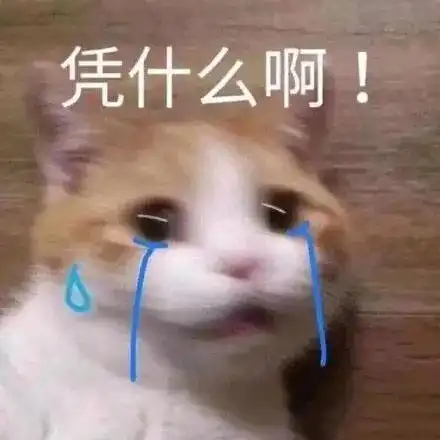 委屈的表情包不要说了,要落泪了
