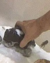 爆笑gif鞋子烂了不要紧,脸面不能丢
