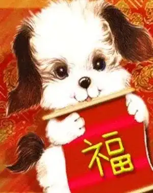 最美的2018春节祝福
