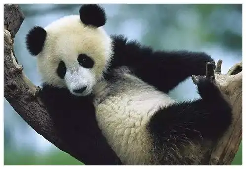 5本轻松搞笑类小说,主角该贱的时候很贱,该正经的时候很正经
