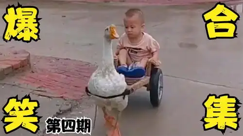 搞笑视频孩子放假回村过年的模样,我看一次笑一次
