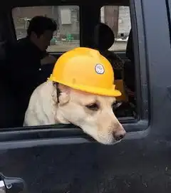 搞笑图片妹子,你先别走,我看完再走呗
