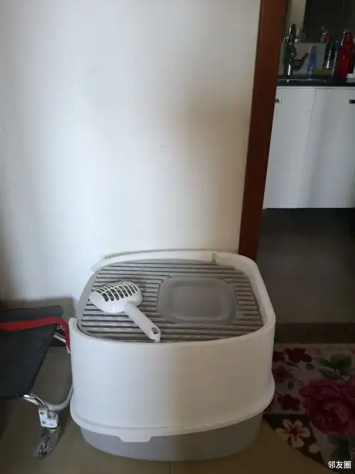 家里请个不速之客,搞得我很不爽,是去还是留
