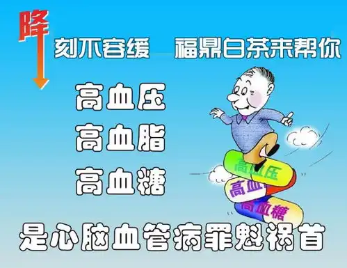 福鼎白茶是茶不是药,它的功效与作用你知道几个

