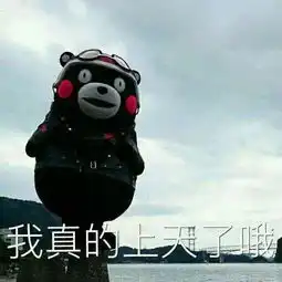 众合法硕如何顺利通过史上最惨烈考研调剂年
