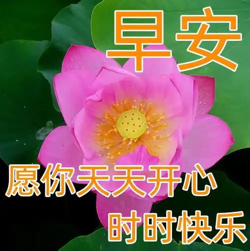 3月1日周三早安问候图片带字,但愿彼此多保重,健康快乐每一天
