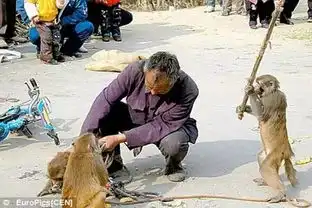 绝对让你目瞪口呆的照片,太牛了,快来看看
