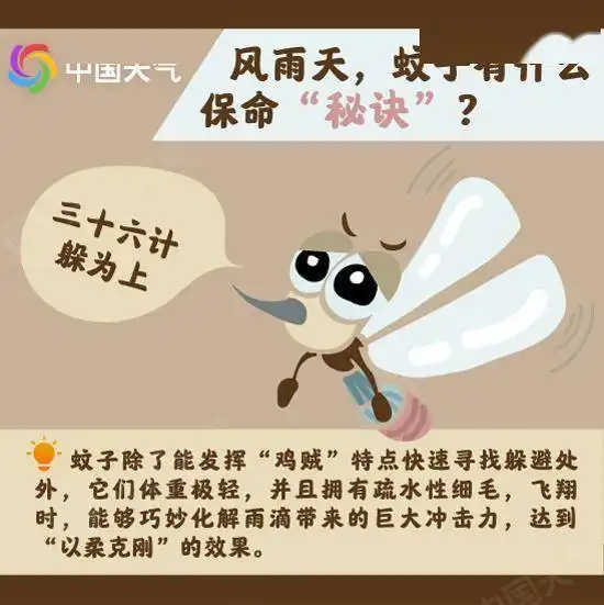 广州天气台风远去雨还在,熟悉的夏天要回来了
