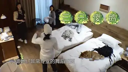 何穗程晓玥排练舞蹈三只傻鹅成笨拙的三只胖子,超搞笑
