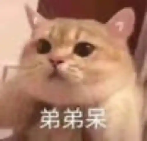 搞笑动物表情包
