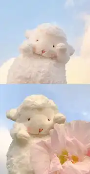 愿你所得皆所期,所失亦无碍
