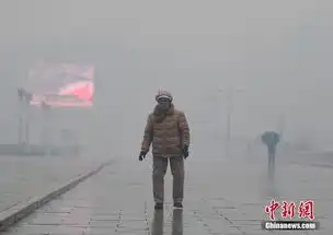 东北持续雾霾沈阳pm2.5浓度爆表
