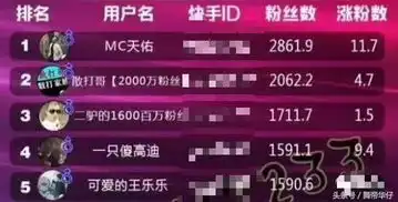 王乐乐超越高迪成快手第四位网红直播炫富微信余额317万
