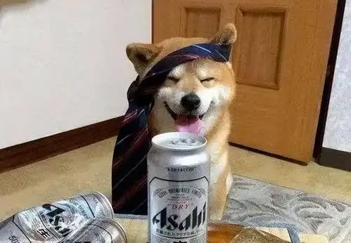 和狗结拜和狗吵架人类醉酒行为大赏

