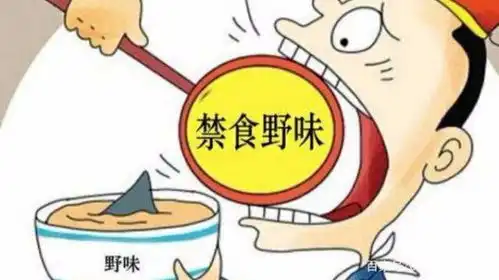 孔雀肉怎么做好吃
