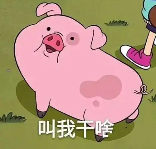 pig是猪,head是头,但pigheaded可不是猪头
