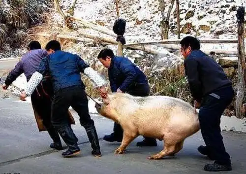 搞笑gif趣图烧脑的图片来了是在上楼梯还是在下楼梯

