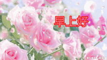 早上好微信祝福语大全早上好微信动态表情图片
