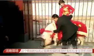 最新幽默笑话大全,搞笑段子大全,搞笑动态图片大全第5042页别逗了笑话网
