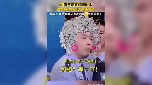 中国签证官戏精附体,爆笑模仿各国大妈说英语
